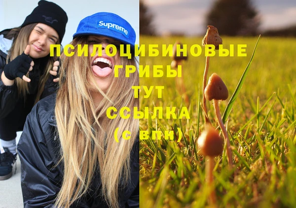 каннабис Алексеевка